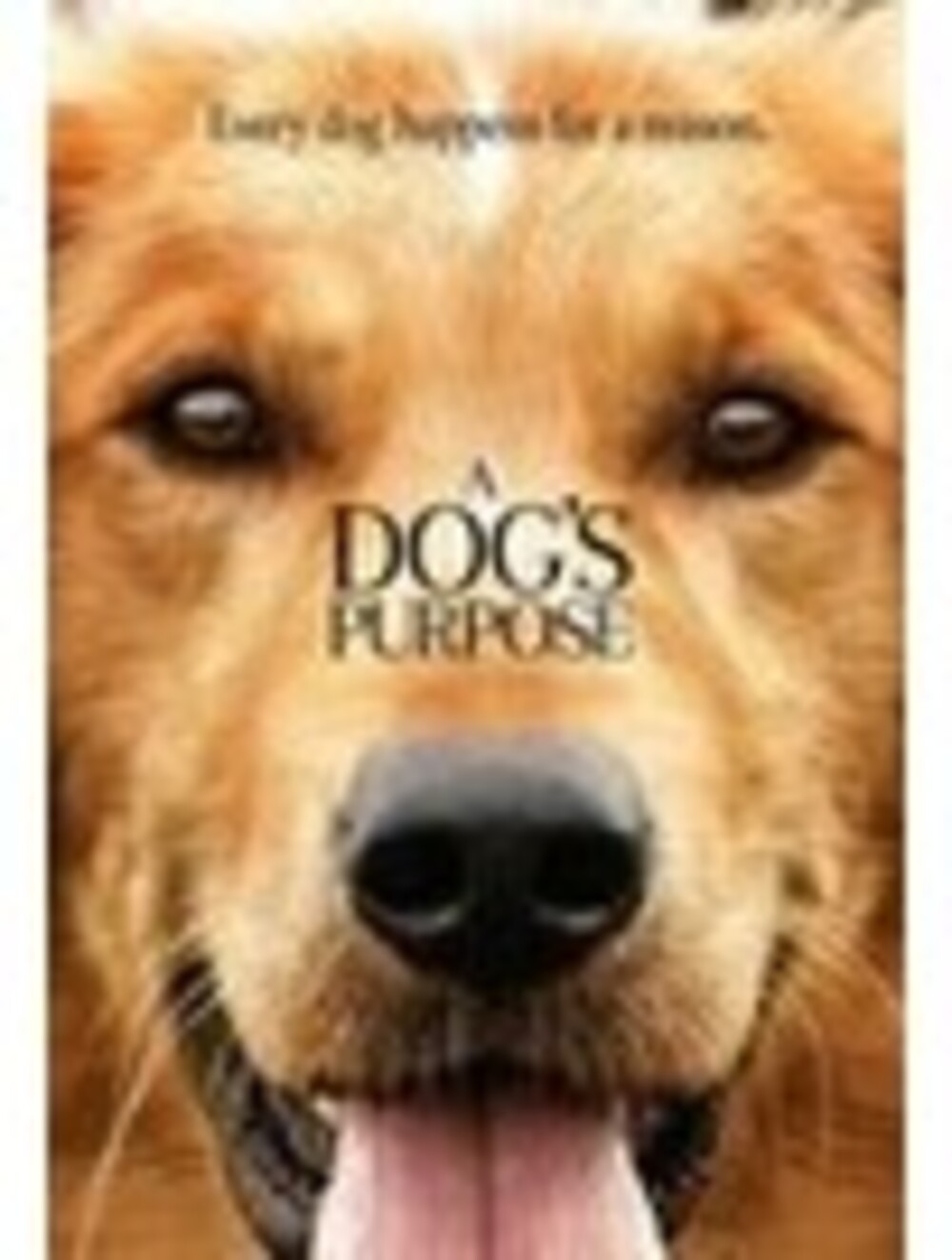 A Dog's Purpose DVD 2017 sealed